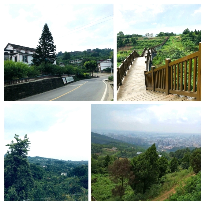 1573019668175062.jpg 一览众山小(1).jpg